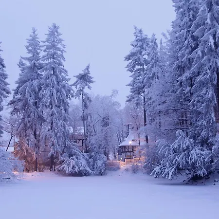 Bed & Breakfast Bukowy Dworek 3*