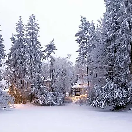 Bukowy Dworek 3* Bad Salzbrunn