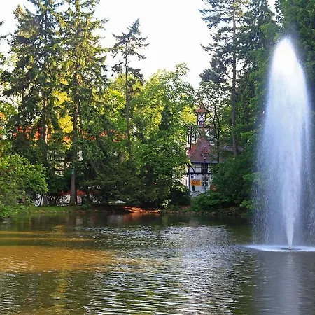 Bed & Breakfast Bukowy Dworek