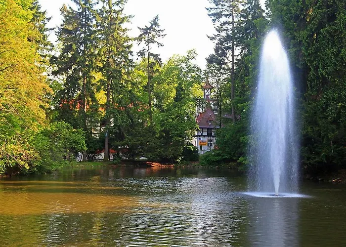 Bed & Breakfast Bukowy Dworek